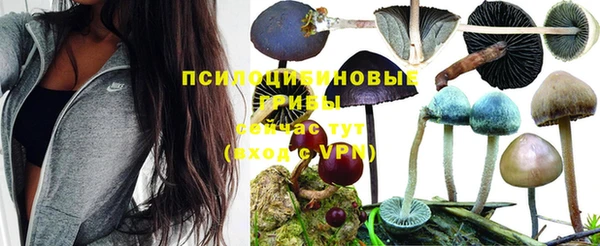 тгк Бородино