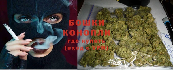 тгк Бородино