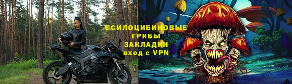 тгк Бородино