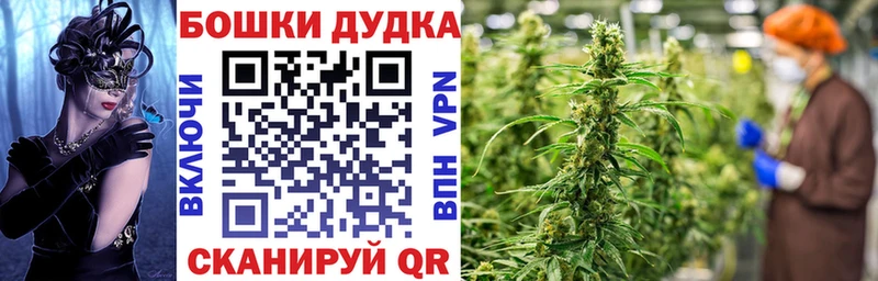 Канабис Bruce Banner  shop как зайти  Дагестанские Огни  купить закладку 