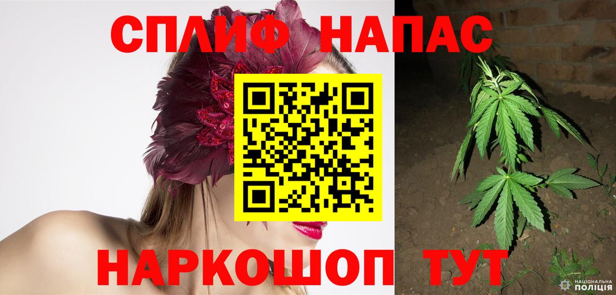 Конопля Ganja Дагестанские Огни